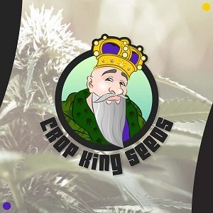 crop king seeds - modbee