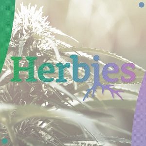 herbies - modbee