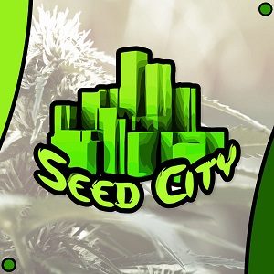 seed city- modbee