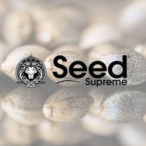 seed supreme - sacbee