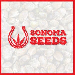 sonoma seeds - bnd
