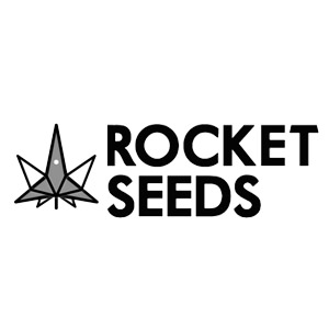 rocket seeds